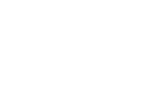 TILTA Lasertag Tagger Model Pistole Hornet